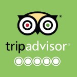 Tripadvisor review